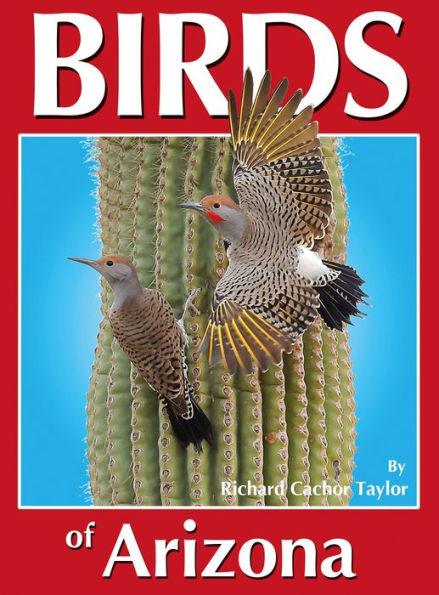Birds of Arizona - Paperback | Diverse Reads