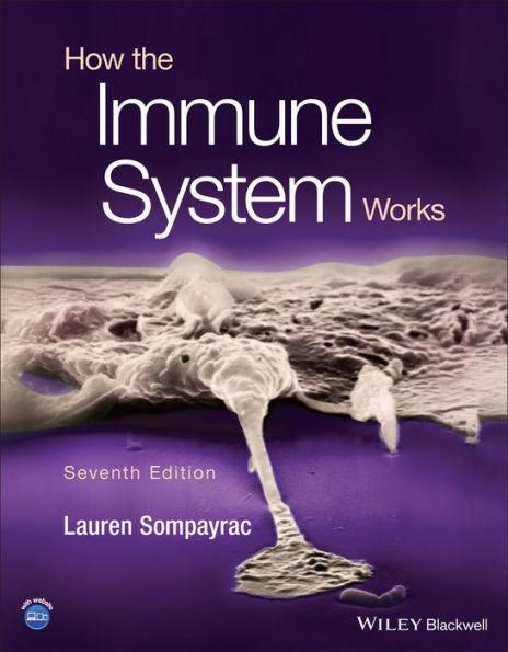 How the Immune System Works - Paperback | Diverse Reads