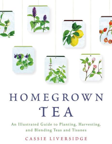 Homegrown Tea: An Illustrated Guide to Planting, Harvesting, and Blending Teas and Tisanes - Paperback | Diverse Reads