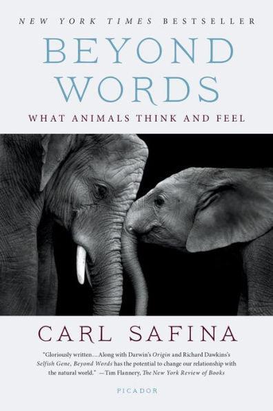 Beyond Words: What Animals Think and Feel - Paperback | Diverse Reads