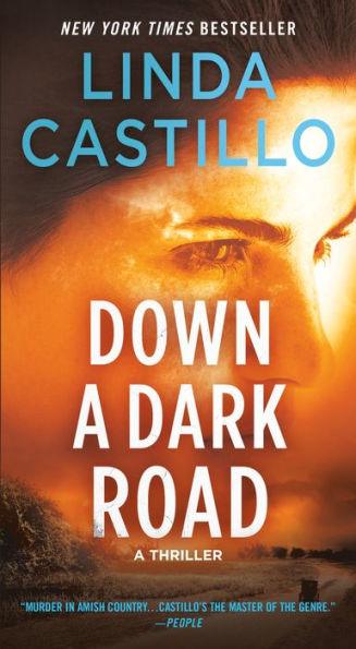 Down a Dark Road (Kate Burkholder Series #9) - Paperback | Diverse Reads
