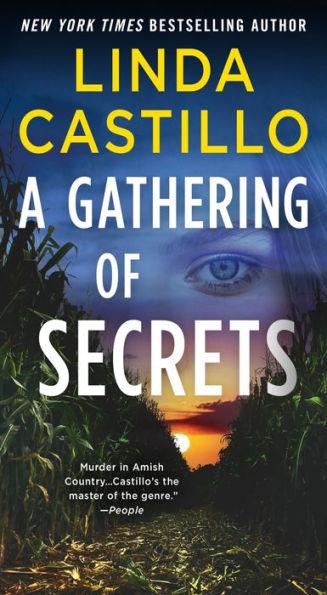 A Gathering of Secrets (Kate Burkholder Series #10) - Paperback | Diverse Reads