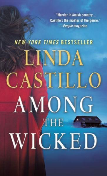 Among the Wicked (Kate Burkholder Series #8) - Paperback | Diverse Reads