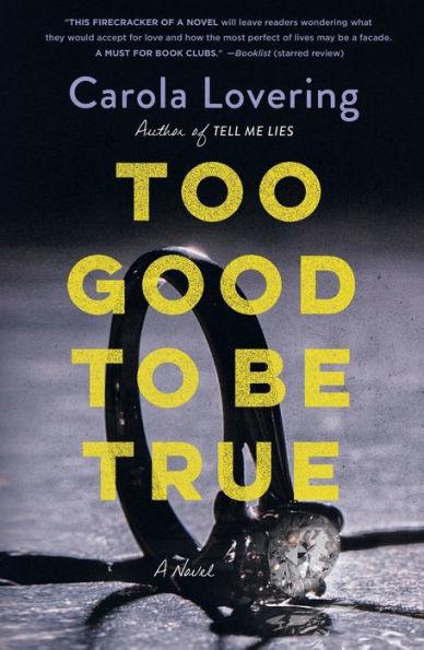 Too Good to Be True: A Novel - Paperback | Diverse Reads
