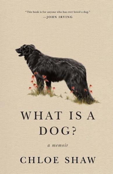 What Is a Dog?: A Memoir - Paperback | Diverse Reads