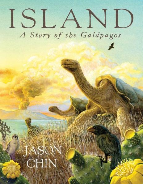 Island: A Story of the Galápagos - Paperback | Diverse Reads