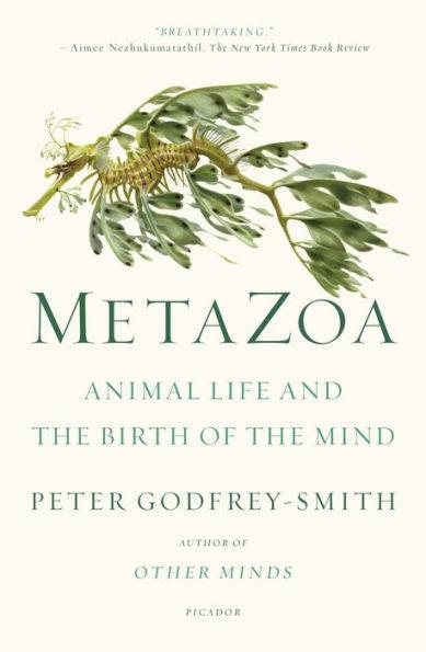 Metazoa: Animal Life and the Birth of the Mind - Paperback | Diverse Reads