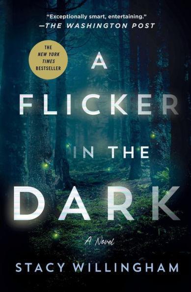 A Flicker in the Dark - Paperback | Diverse Reads