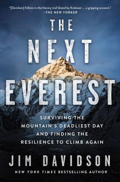 The Next Everest: Surviving the Mountain's Deadliest Day and Finding the Resilience to Climb Again - Paperback | Diverse Reads