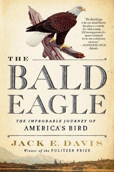 The Bald Eagle: The Improbable Journey of America's Bird - Paperback | Diverse Reads