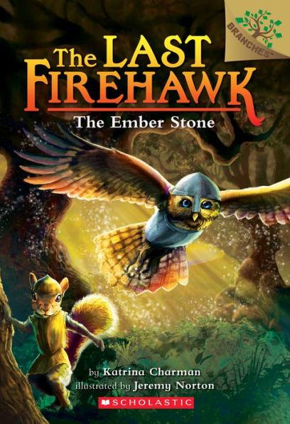 The Ember Stone (The Last Firehawk Series #1) - Paperback | Diverse Reads