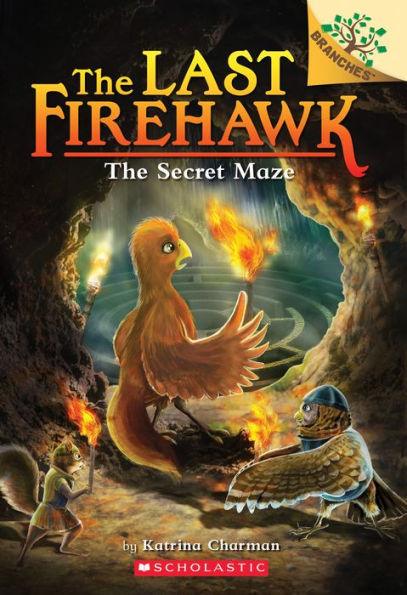 The Secret Maze: A Branches Book (The Last Firehawk #10) - Paperback | Diverse Reads