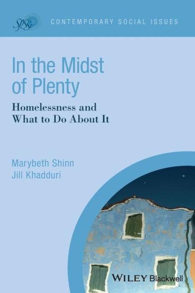 In the Midst of Plenty: Homelessness and What To Do About It / Edition 1 - Paperback | Diverse Reads