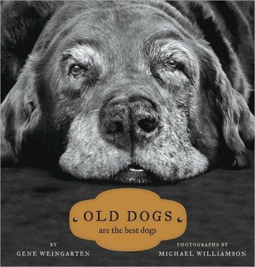 Old Dogs: Are the Best Dogs - Hardcover | Diverse Reads