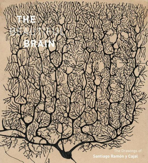 The Beautiful Brain: The Drawings of Santiago Ramon y Cajal - Hardcover | Diverse Reads