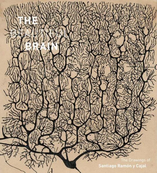 The Beautiful Brain: The Drawings of Santiago Ramon y Cajal - Hardcover | Diverse Reads