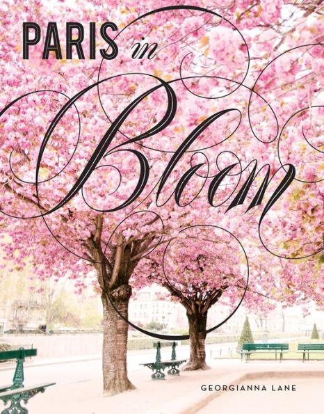 Paris in Bloom - Hardcover | Diverse Reads