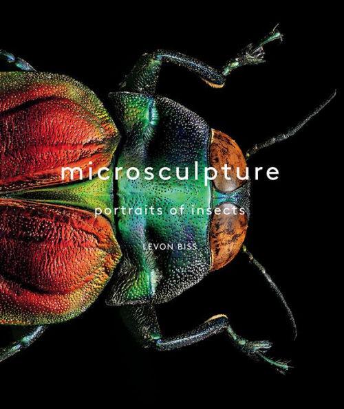 Microsculpture: Portraits of Insects - Hardcover | Diverse Reads