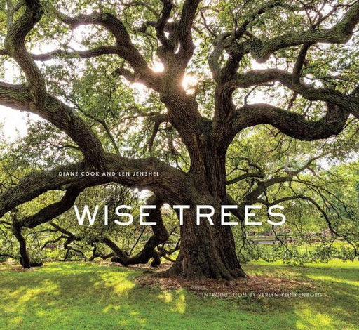 Wise Trees - Hardcover | Diverse Reads