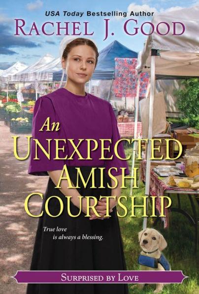 An Unexpected Amish Courtship - Paperback | Diverse Reads