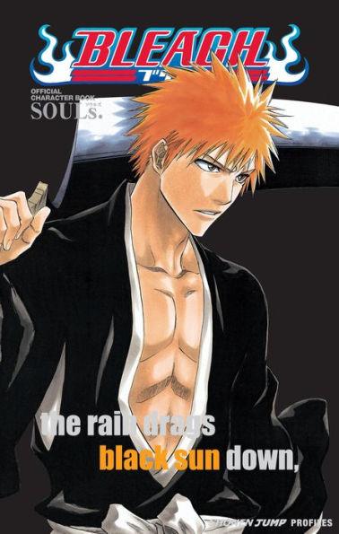 Bleach SOULs. Official Character Book - Paperback | Diverse Reads