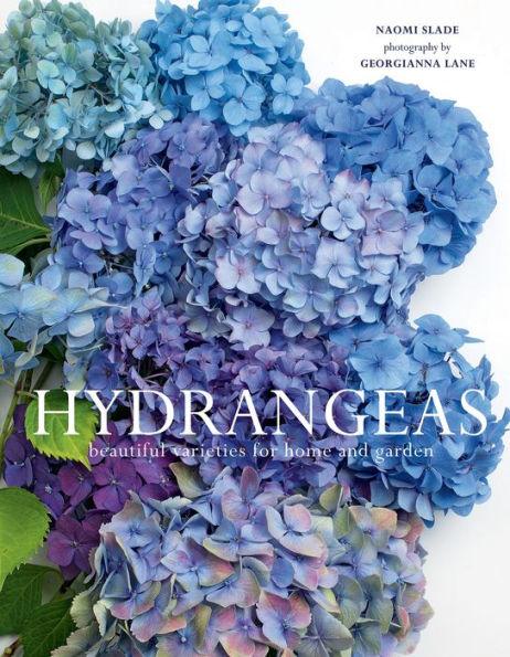 Hydrangeas: Beautiful Varieties for Home and Garden - Hardcover | Diverse Reads