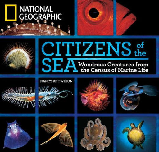 Citizens of the Sea: Wondrous Creatures From the Census of Marine Life - Hardcover | Diverse Reads