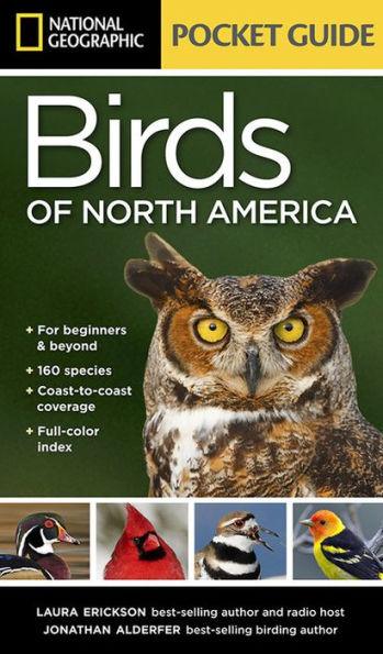 National Geographic Pocket Guide to the Birds of North America - Paperback | Diverse Reads