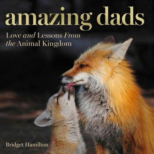 Amazing Dads: Love and Lessons From the Animal Kingdom - Hardcover | Diverse Reads