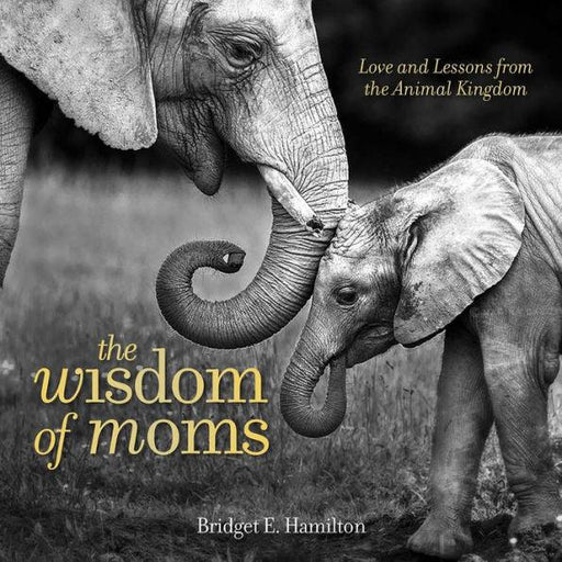 The Wisdom of Moms: Love and Lessons From the Animal Kingdom - Hardcover | Diverse Reads