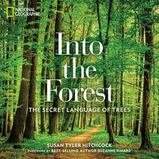 Into the Forest: The Secret Language of Trees - Hardcover | Diverse Reads