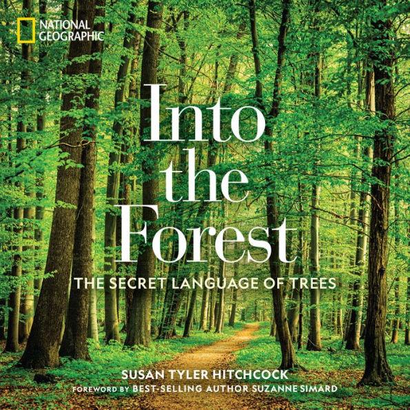 Into the Forest: The Secret Language of Trees - Hardcover | Diverse Reads