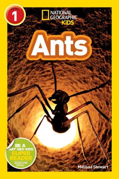 Ants (National Geographic Readers Series: Level 1) - Paperback | Diverse Reads