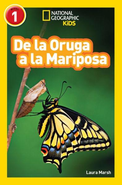 De la Oruga a la Mariposa (Caterpillar to Butterfly) (National Geographic Readers Series) - Paperback | Diverse Reads
