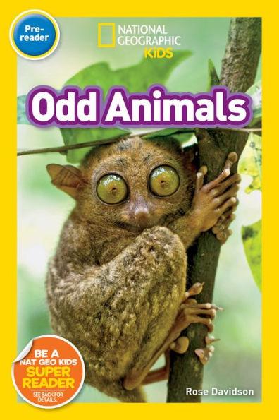 Odd Animals (National Geographic Readers Series: Pre-reader) - Paperback | Diverse Reads