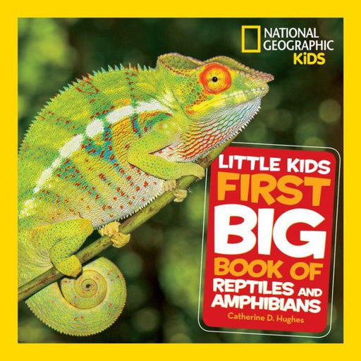 Little Kids First Big Book of Reptiles and Amphibians - Hardcover | Diverse Reads