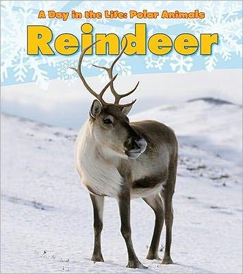 Reindeer - Paperback | Diverse Reads