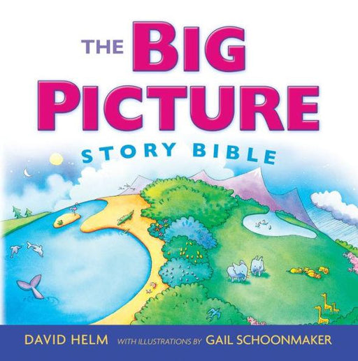 The Big Picture Story Bible - Hardcover | Diverse Reads