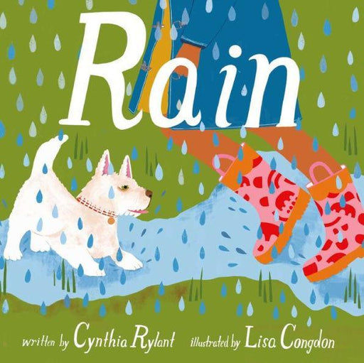 Rain - Hardcover | Diverse Reads