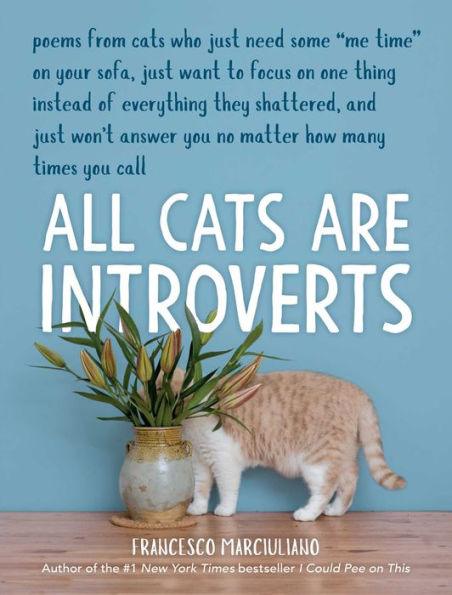 All Cats Are Introverts - Hardcover | Diverse Reads