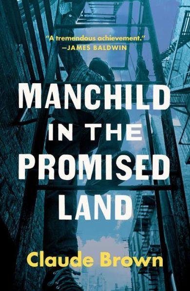 Manchild in the Promised Land - Paperback(Reprint) | Diverse Reads