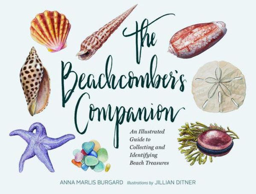 The Beachcomber's Companion: An Illustrated Guide to Collecting and Identifying Beach Treasures (Watercolor Seashell and Shell Collecting Book, Beach Lover Gift) - Hardcover | Diverse Reads
