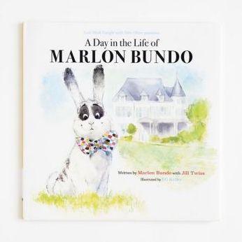 Last Week Tonight with John Oliver Presents A Day in the Life of Marlon Bundo - Diverse Reads