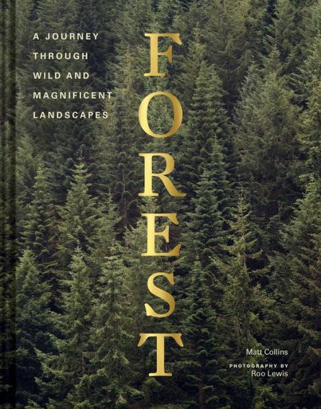 Forest - Hardcover | Diverse Reads
