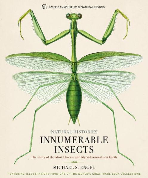 Innumerable Insects: The Story of the Most Diverse and Myriad Animals on Earth - Hardcover | Diverse Reads