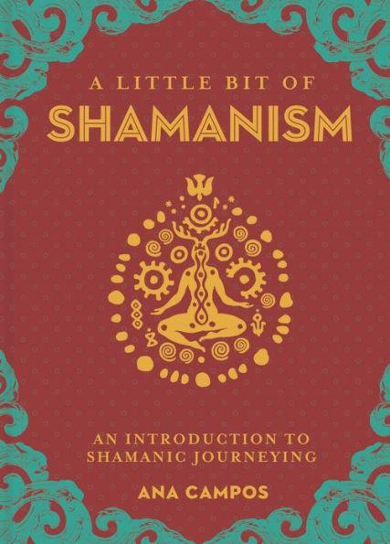 A Little Bit of Shamanism: An Introduction to Shamanic Journeying - Hardcover | Diverse Reads