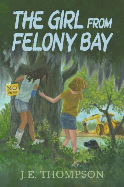 The Girl from Felony Bay - Paperback | Diverse Reads