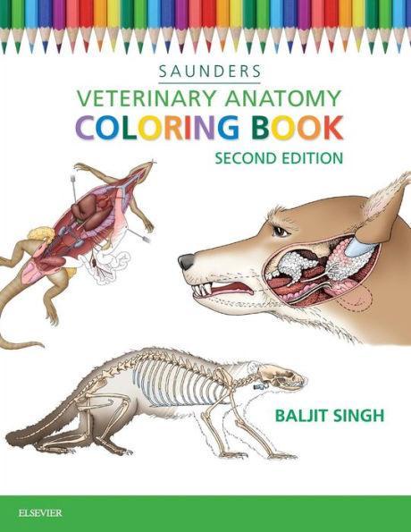 Veterinary Anatomy Coloring Book - Paperback | Diverse Reads