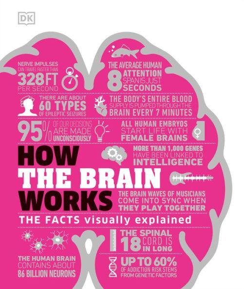 How the Brain Works: The Facts Visually Explained - Hardcover | Diverse Reads