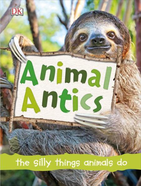 Animal Antics - Hardcover | Diverse Reads